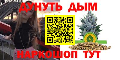 крисы Ливны