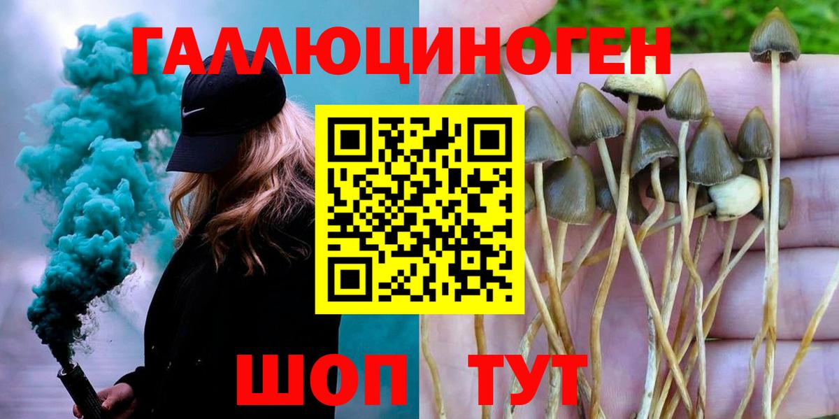 Галлюциногенные грибы Psilocybine cubensis  Вход с VPN  магазин  наркотиков  Сургут 